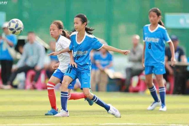 杨瀚森21+10青岛胜广东 王哲林25分上海胜宁波